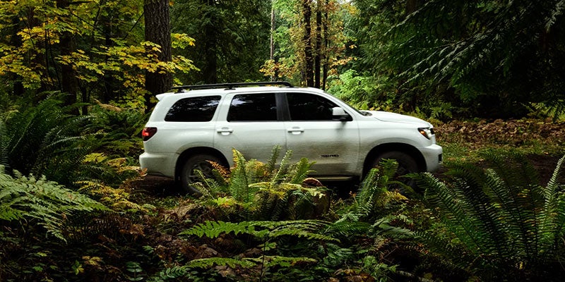 Sideview of a White Toyota Sequoia Parked in the forest